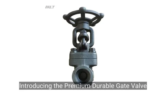 Forged Steel/Stateliness Steel Socket Welding/Thread/Welding/Flange Gate Valve